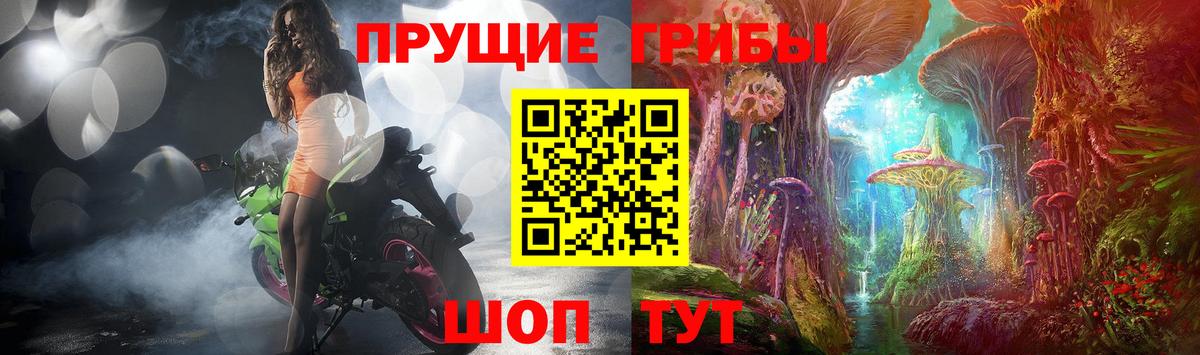 Псилоцибиновые грибы мицелий Лосино-Петровский